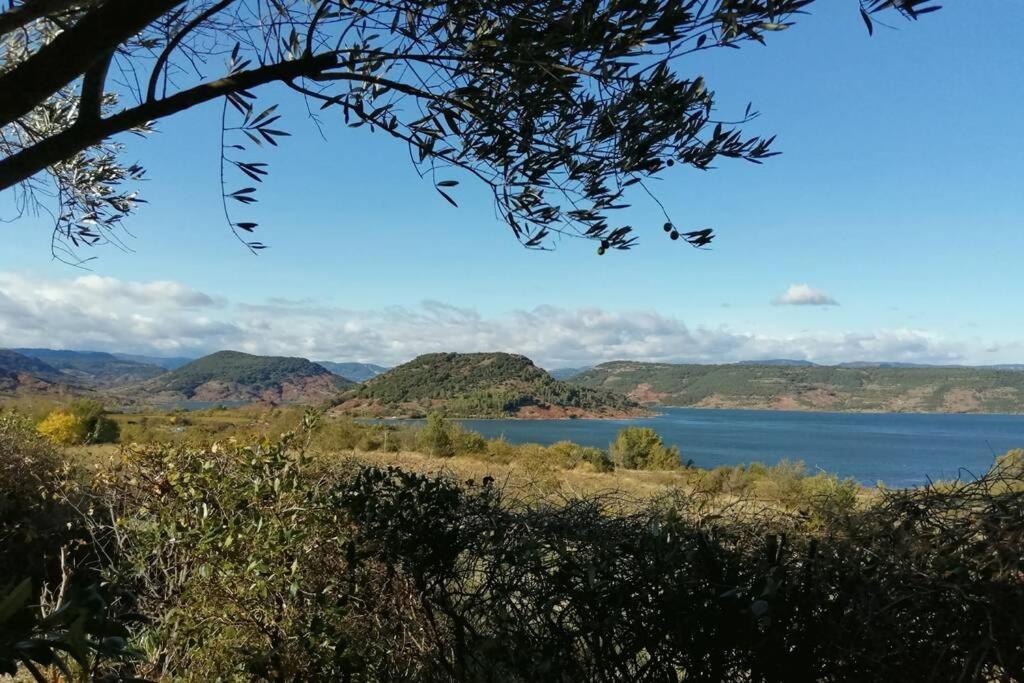 Studio 32M2 - Dans Propriete Avec Vue Imprenable Sur Le Lac Du Salagou Liausson Eksteriør billede