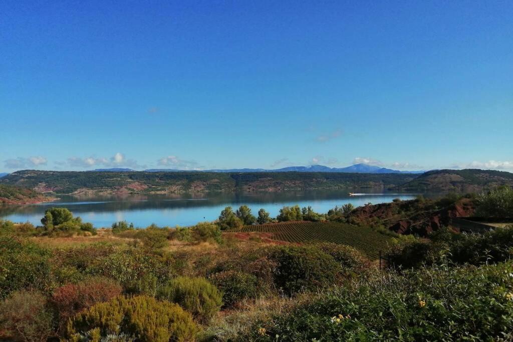 Studio 32M2 - Dans Propriete Avec Vue Imprenable Sur Le Lac Du Salagou Liausson Eksteriør billede